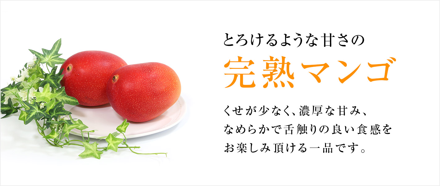 完熟マンゴ特集